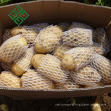 China Fresh Potato Export 100-600g Sweet Potato